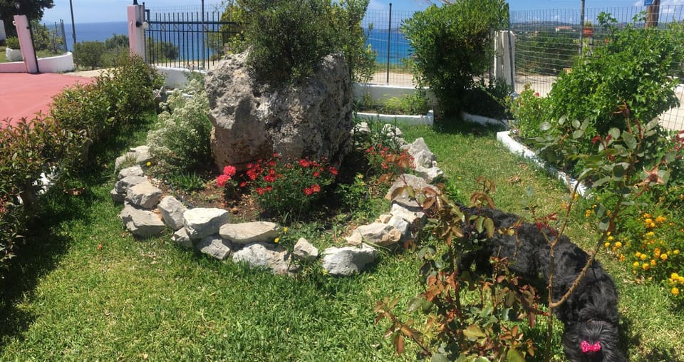 Garden, Garden view