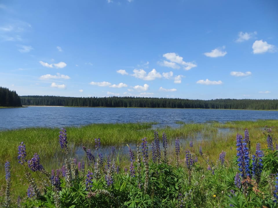 Summer, Other