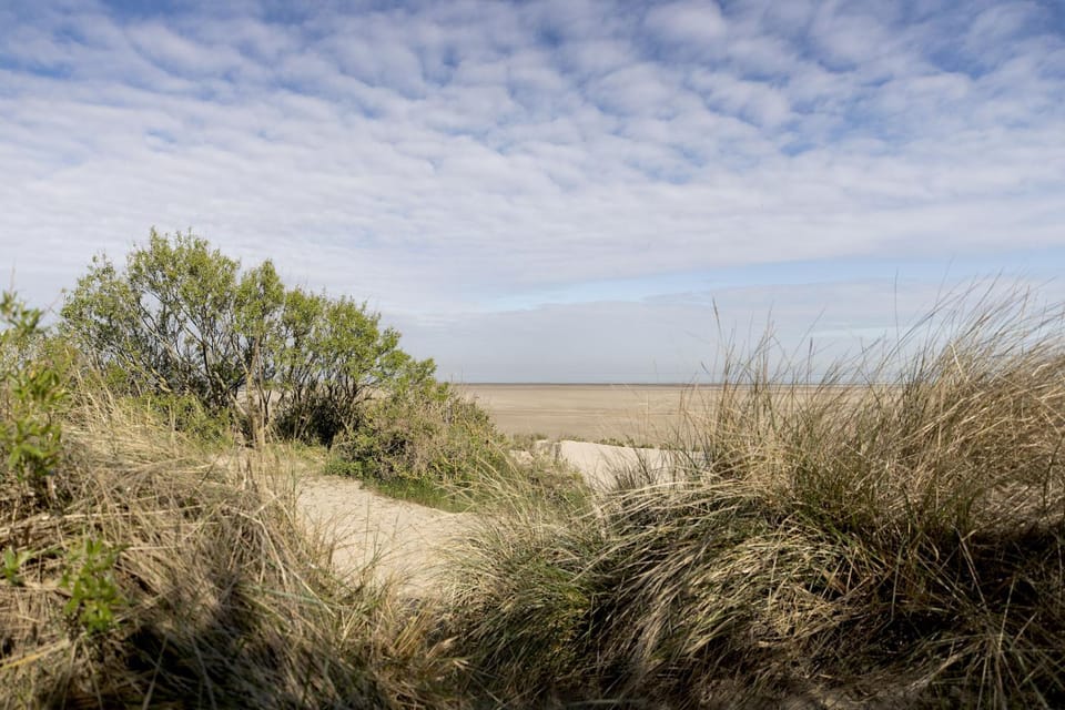 Appartementen Bredene Apartment in Bredene