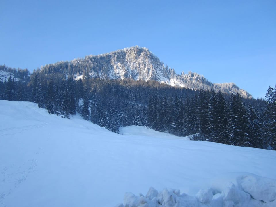 Mountain view