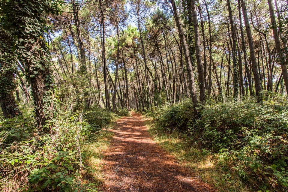Natural landscape, Hiking