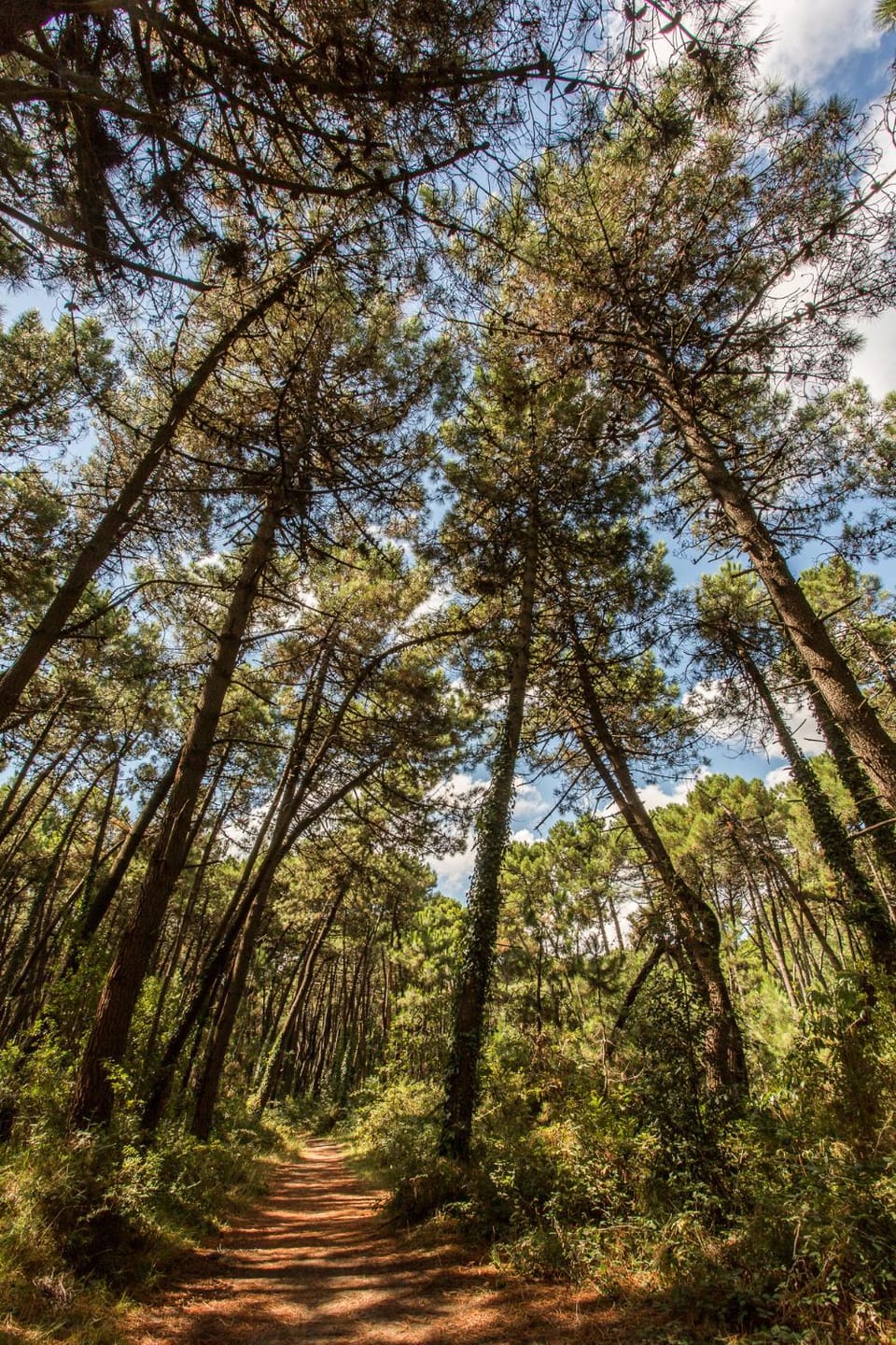 Natural landscape, Hiking