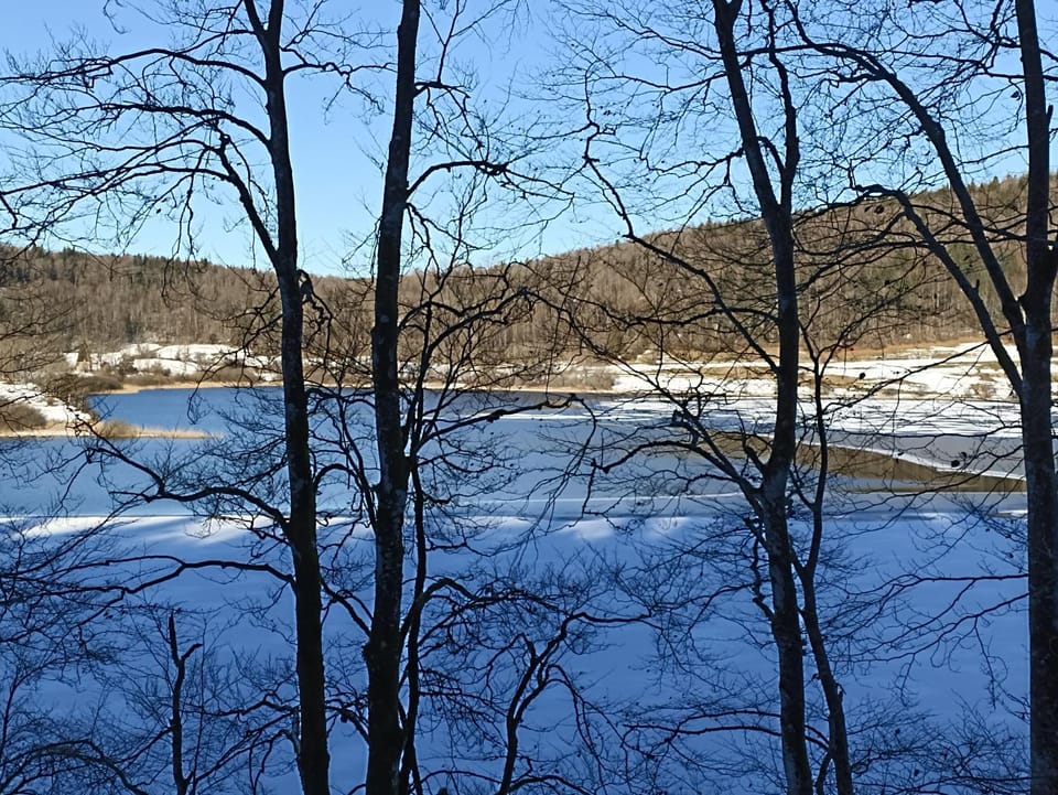 Pont de la Chaux Apartment in Jura