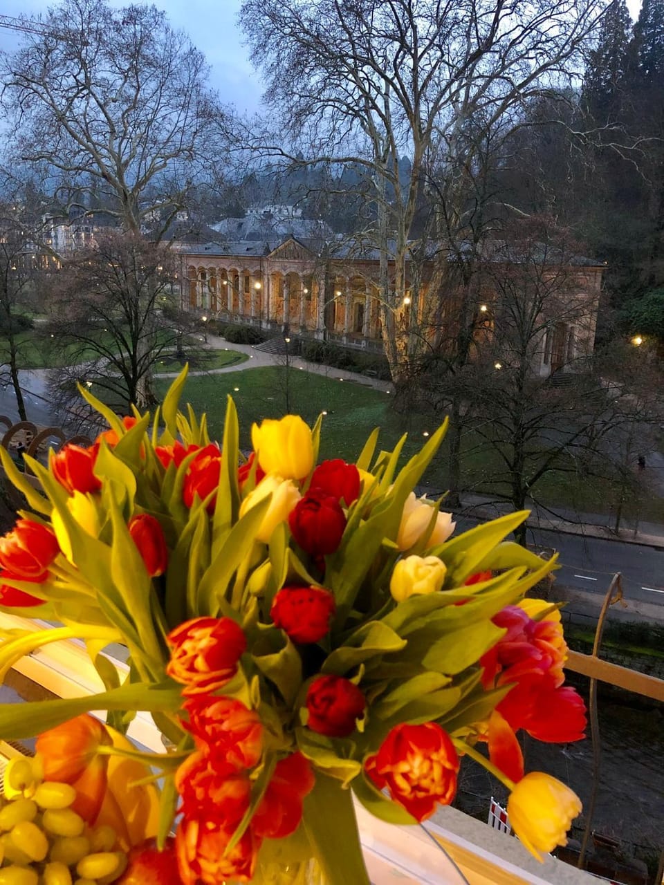 Natural landscape, Garden, View (from property/room), Hiking, Garden view, Landmark view, Mountain view, River view