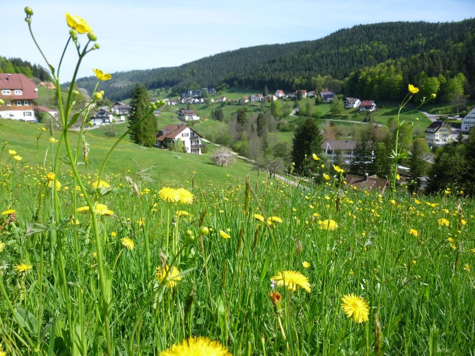 Spring, Day, Neighbourhood, Natural landscape, Hiking, Hiking, Mountain view