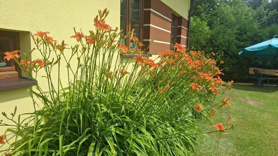Pokoje na Wiejskiej Vacation rental in Masovian Voivodeship