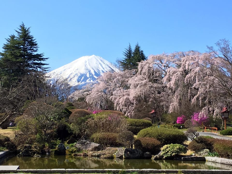 Spring, Day, Natural landscape, Hiking, Garden view, Mountain view