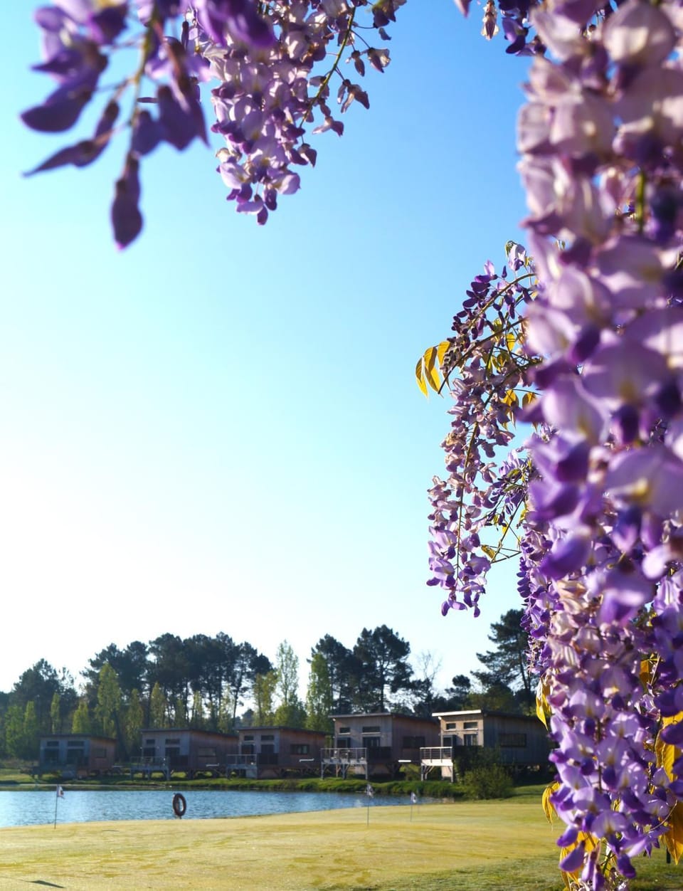 Écolodges du Golf du Sauternais Hotel in Nouvelle-Aquitaine