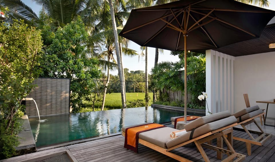 Natural landscape, Pool view, Swimming pool, Swimming pool, Swimming pool