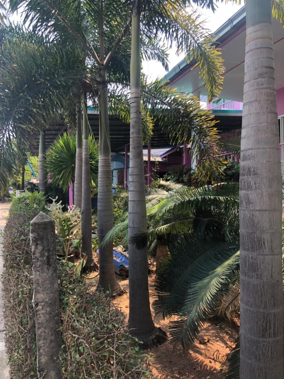 Bann Pa Su (บ้านป้าสุ) Bed and Breakfast in Chon Buri Changwat