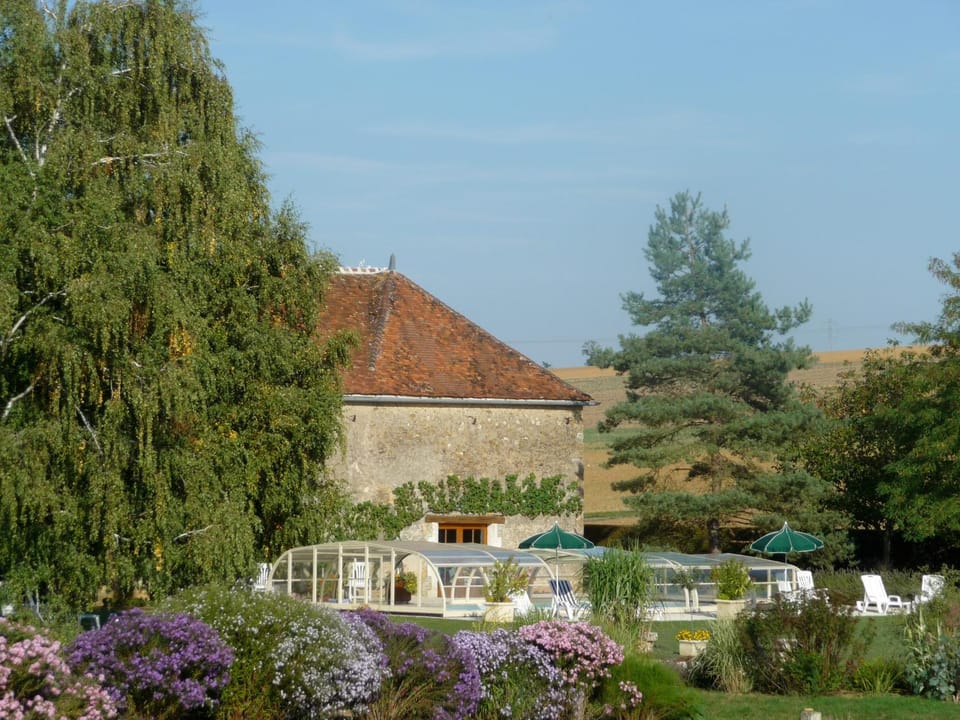 Garden, Garden, Garden view, Swimming pool