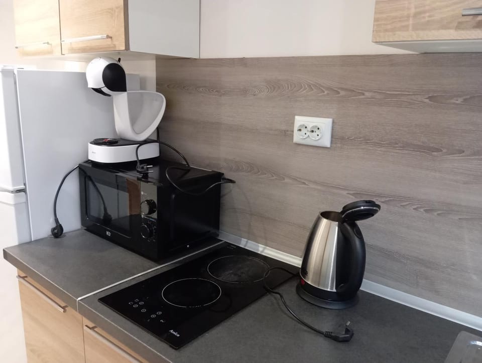 bulevard "Vitosha" 67 Apartment in Sofia