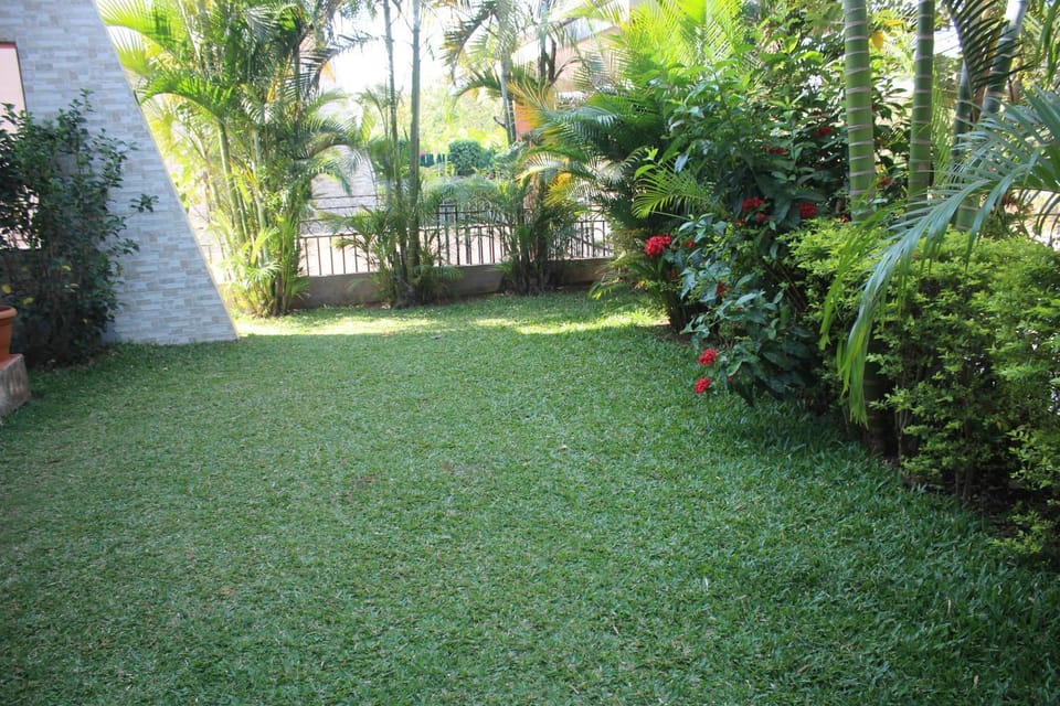 Garden, Garden, Garden view