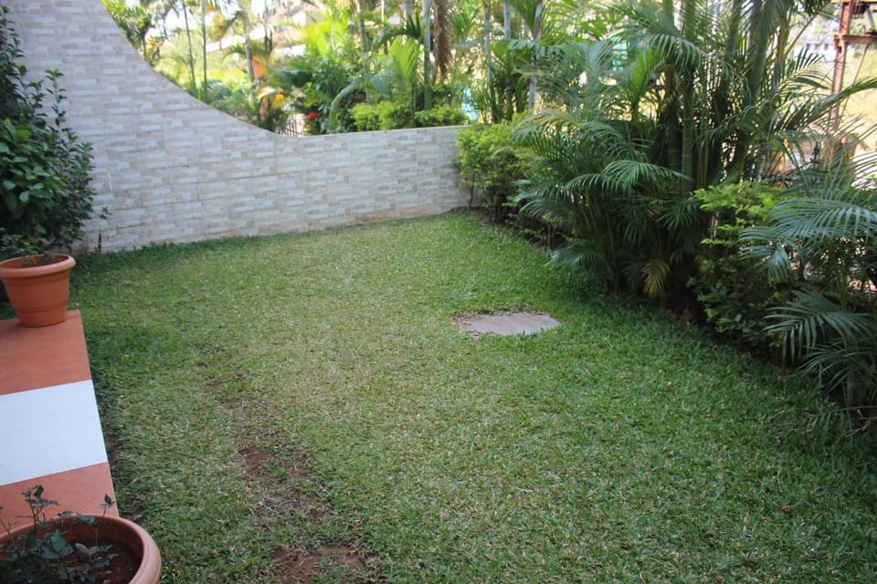 Garden, Garden