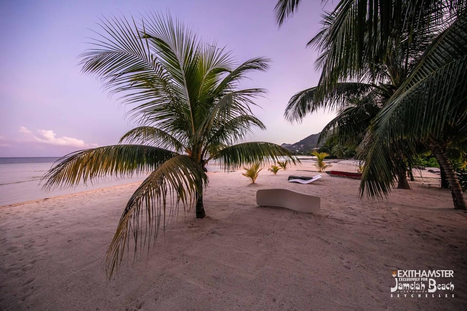 Beach, Sea view, Sea view, sunbed