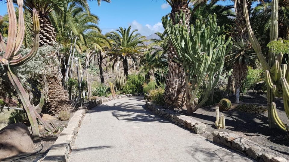 Natural landscape, Garden