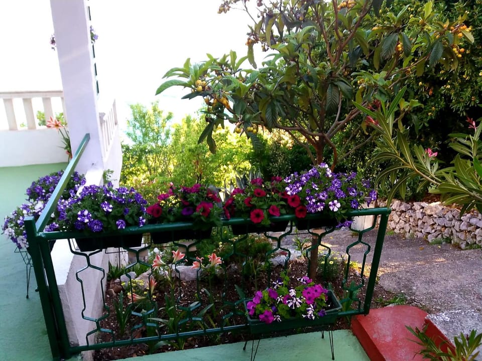 Patio, Garden, Balcony/Terrace