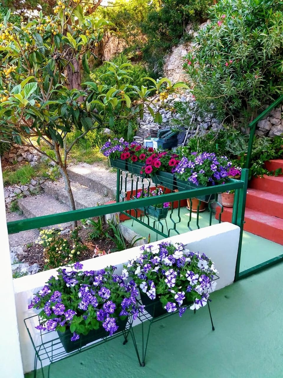 Garden view