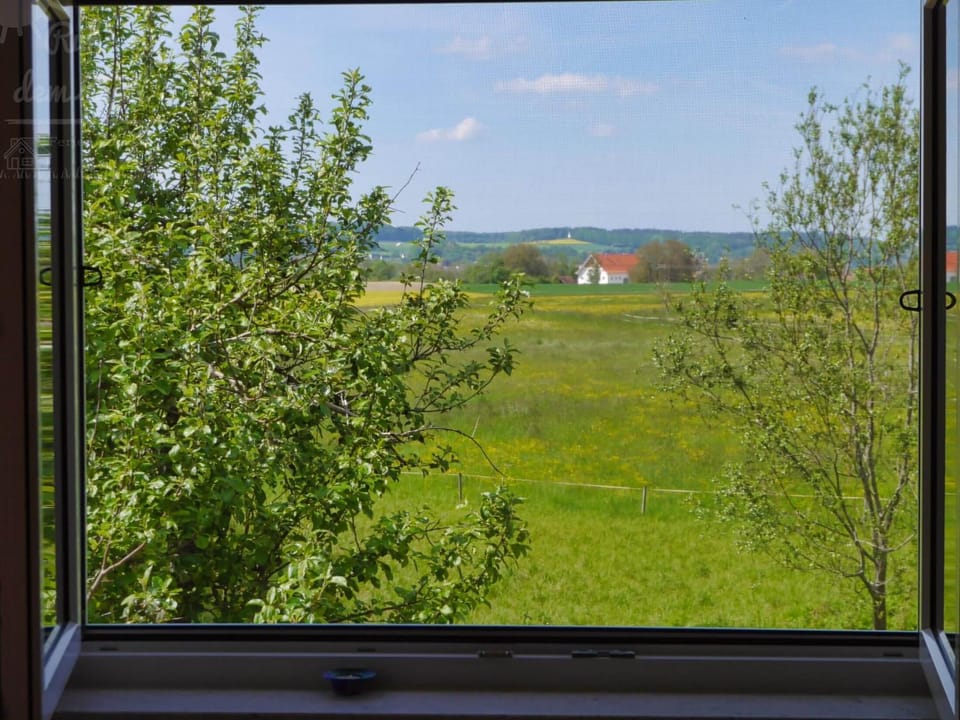 View (from property/room), View (from property/room)