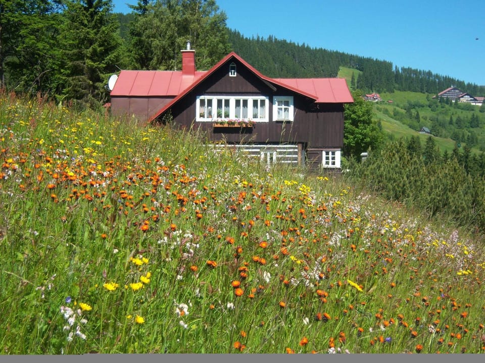 Pension Skalicky Inn in Lower Silesian Voivodeship