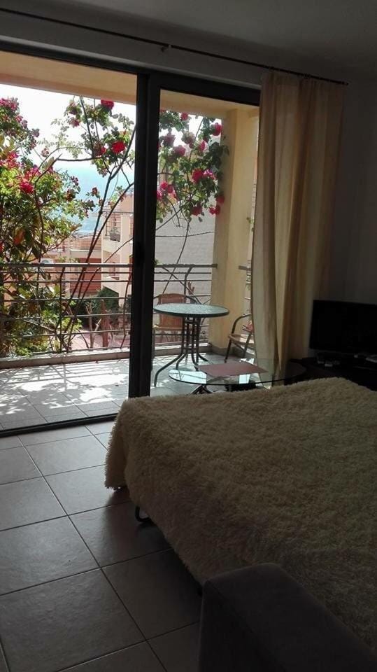 TV and multimedia, Balcony/Terrace, Living room, Garden view