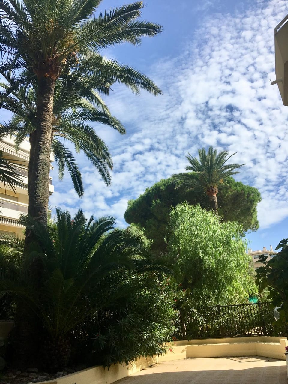 Garden view, Pool view, Swimming pool, Swimming pool, Inner courtyard view