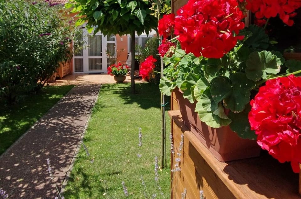 Garden, Garden view