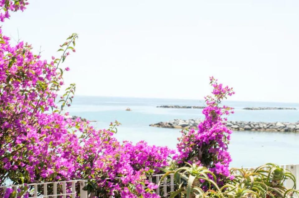 Narciso Centralissimo Apartment in Sanremo