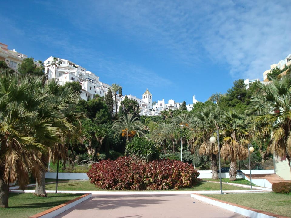 Neighbourhood, Garden