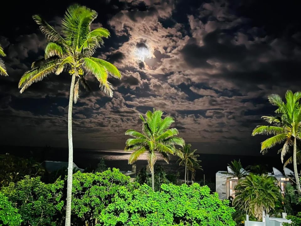 Night, Garden view