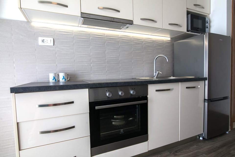 Kitchen or kitchenette, dishwasher, minibar, pet friendly, stove