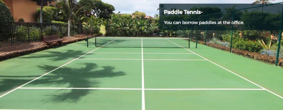 Tennis court