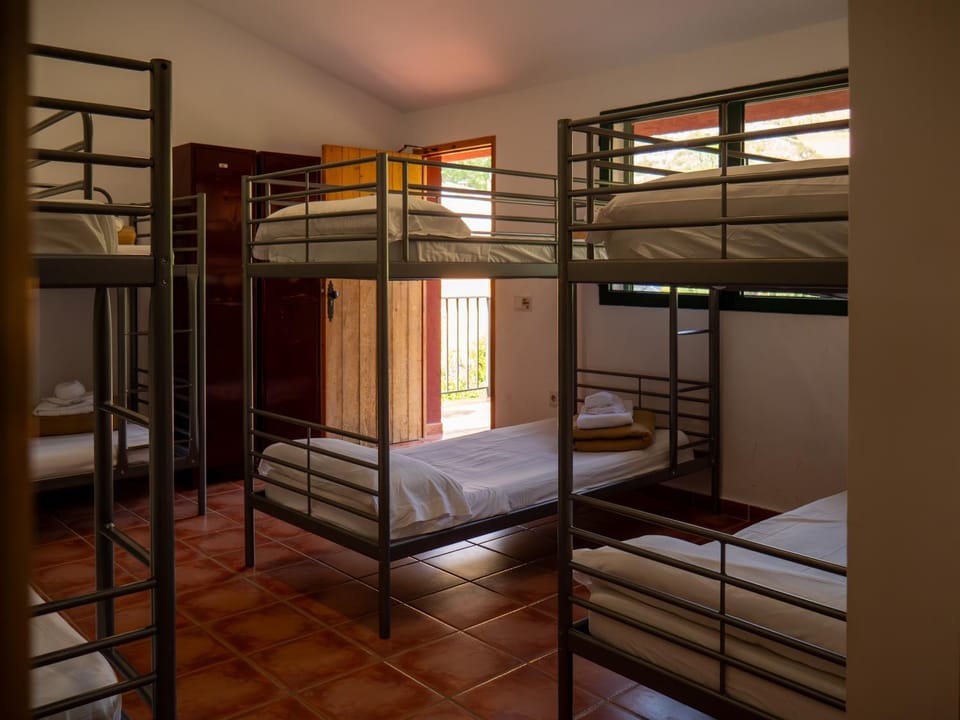 bunk bed