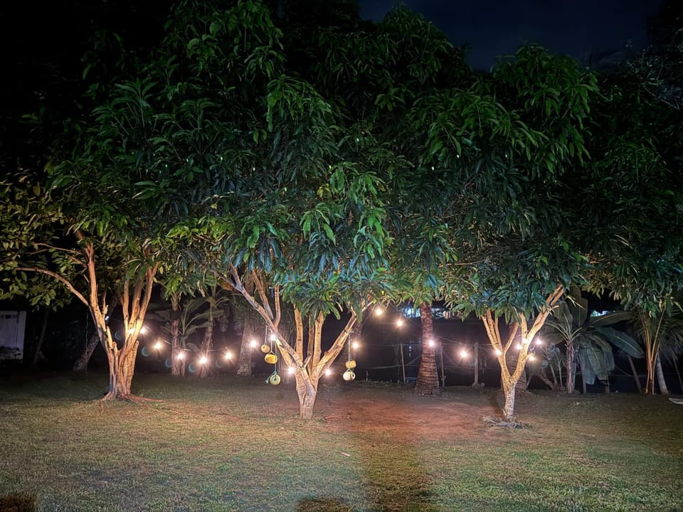 Night, Garden