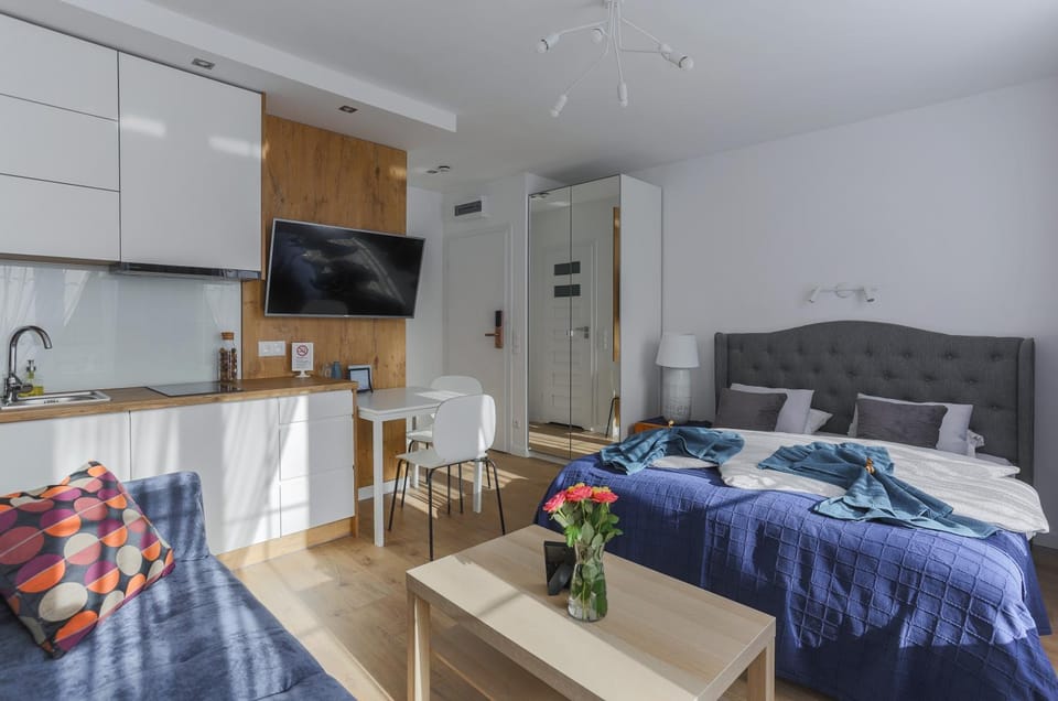 Kitchen or kitchenette, Living room, Seating area, Dining area, Bedroom