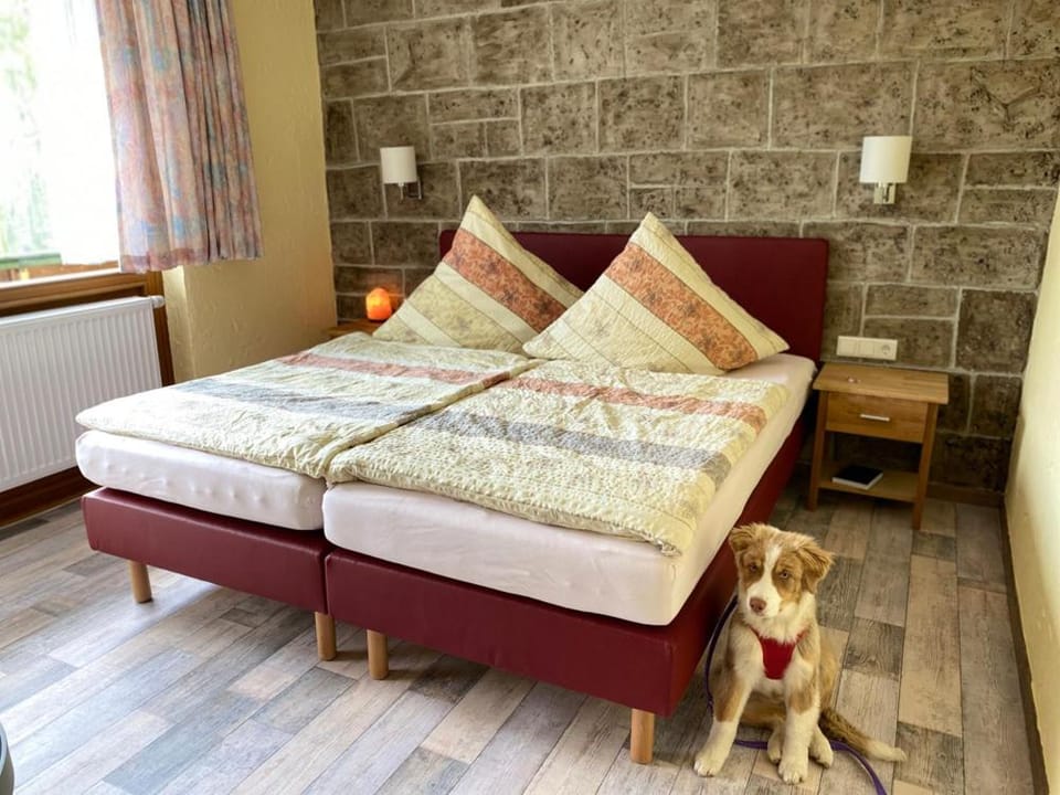 Photo of the whole room, Pets
