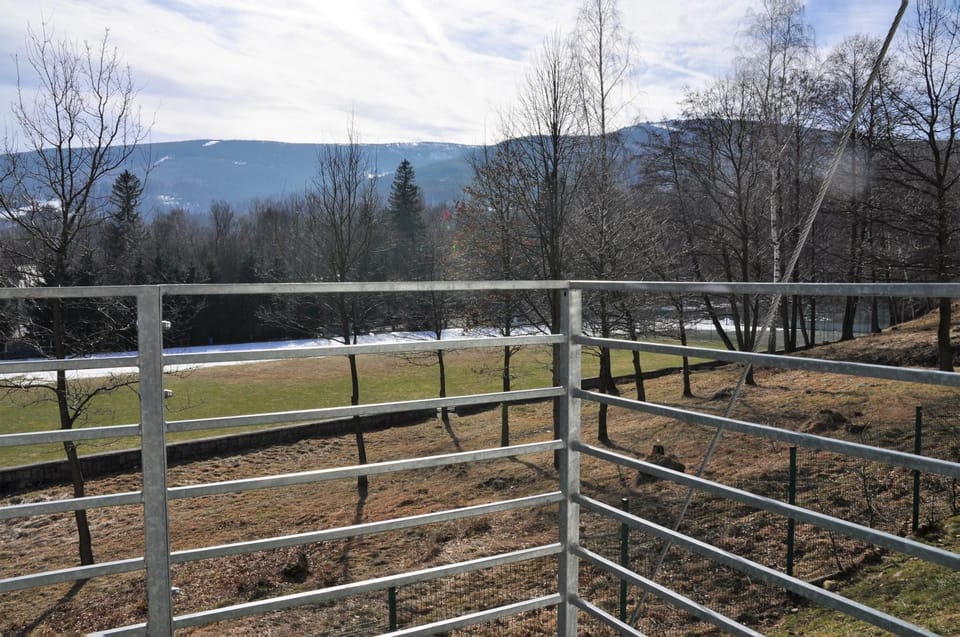 Balcony/Terrace, Mountain view