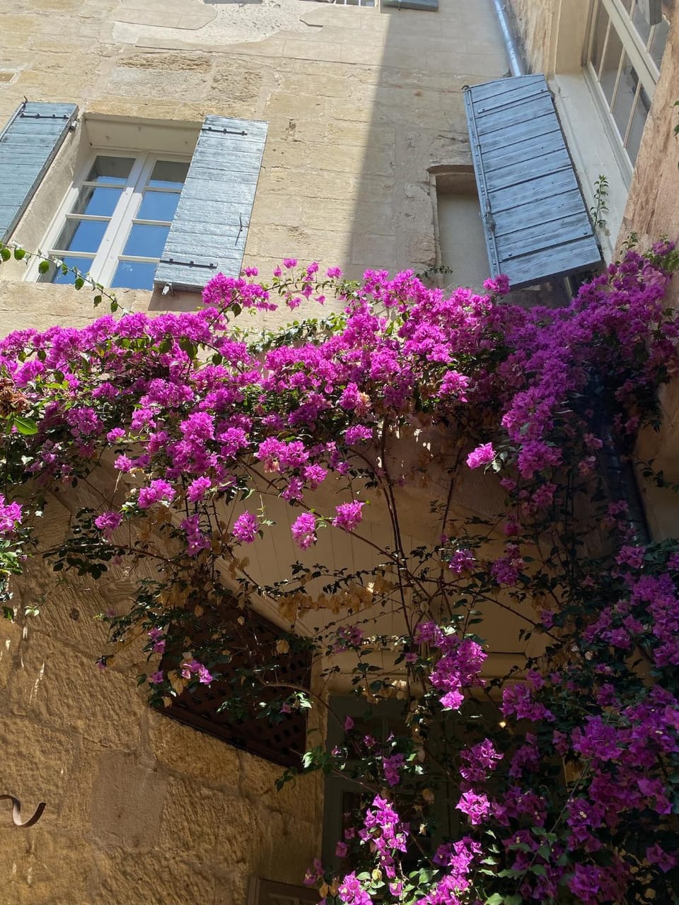 Property building, Patio, Garden