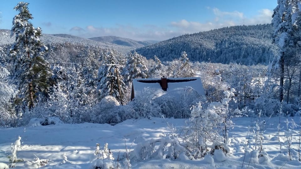 Mountain view