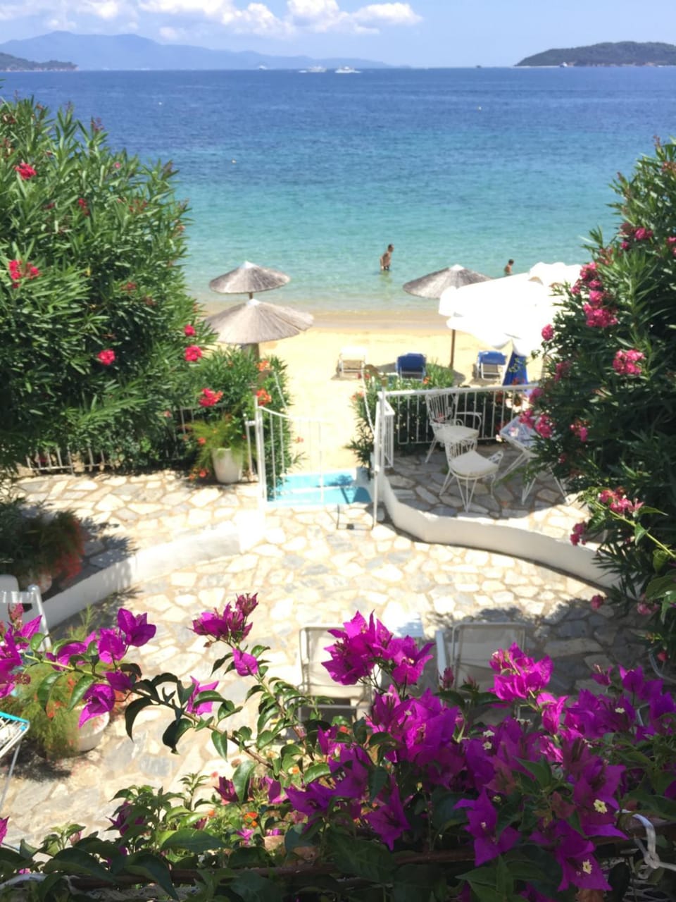 Achladies Beach Apartment Apartment in Sporades, Greece