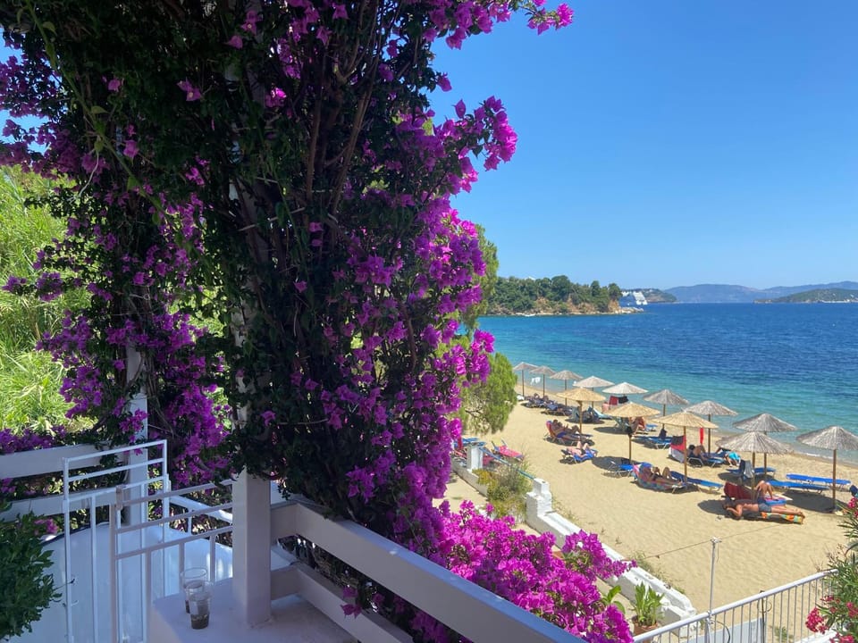 Achladies Beach Apartment Apartment in Sporades, Greece