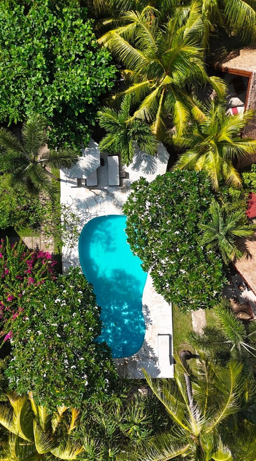 Garden view, Swimming pool