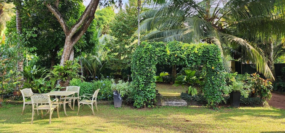 Garden view