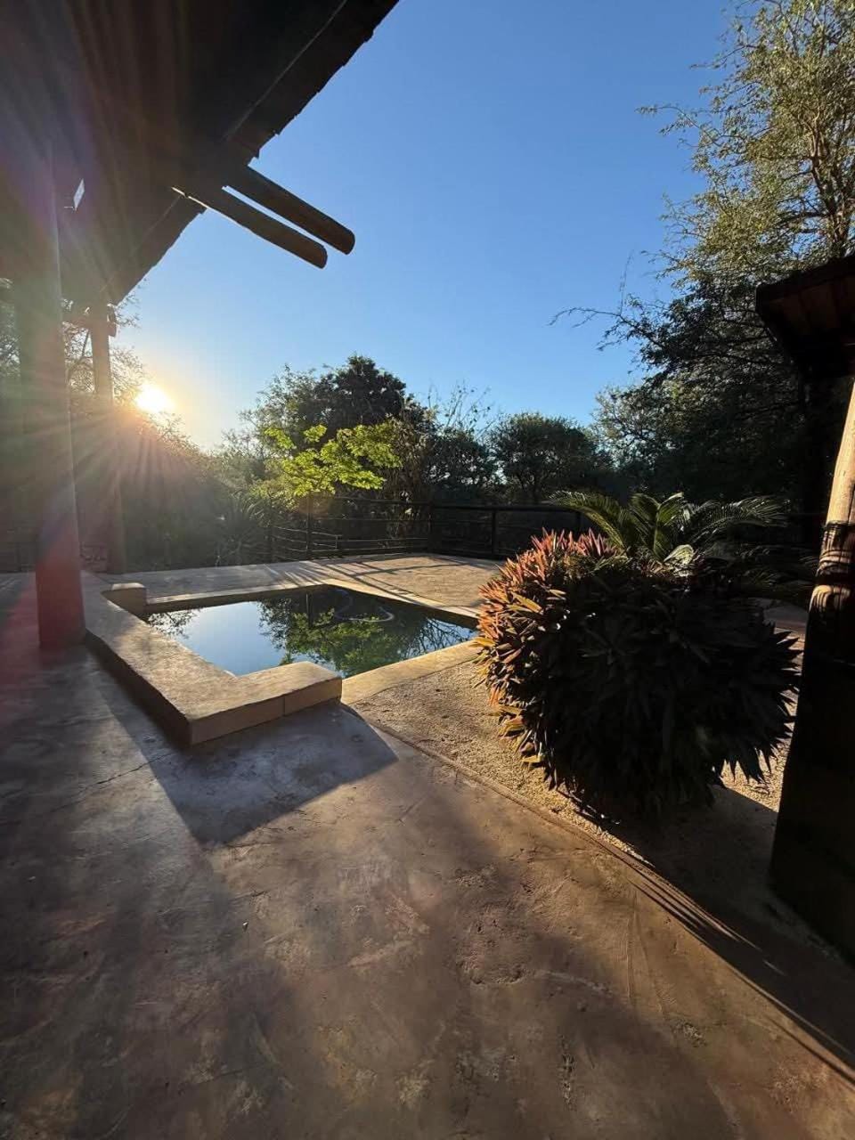 Natural landscape, Garden, Swimming pool