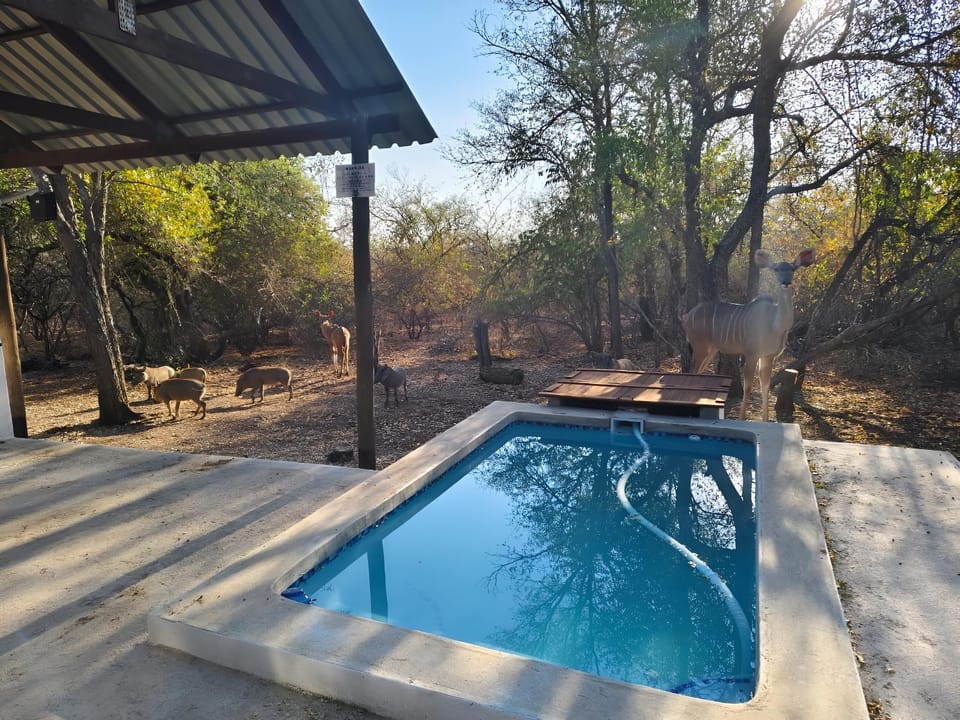 Natural landscape, Pool view, Swimming pool