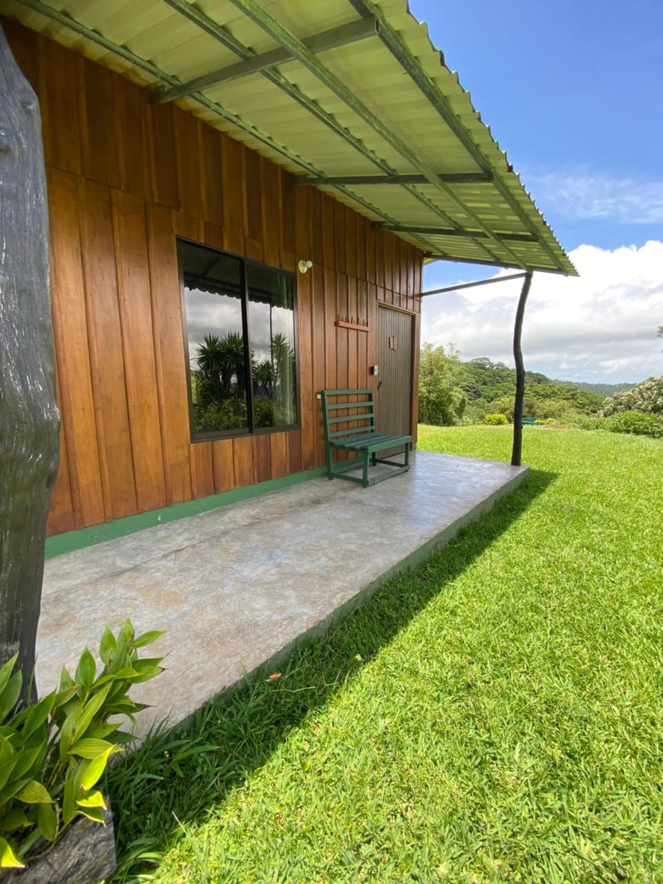 Patio, Garden