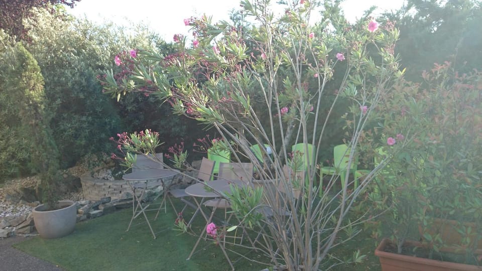 Patio, Garden