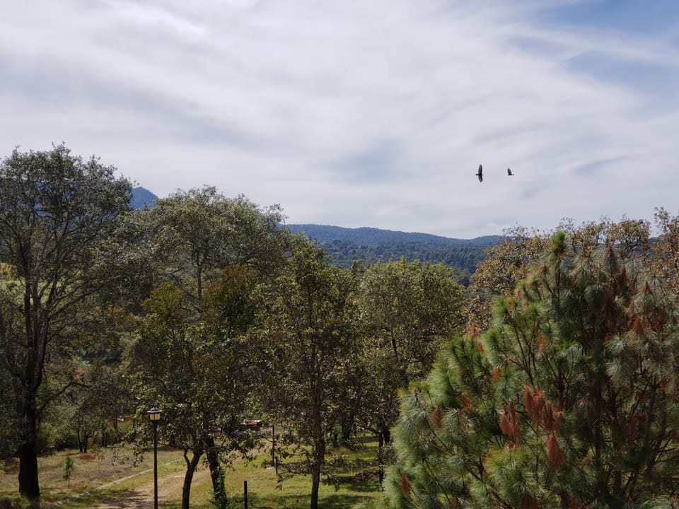 Natural landscape, Mountain view