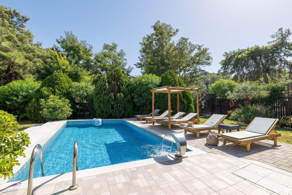 Garden, Pool view, Swimming pool, sunbed