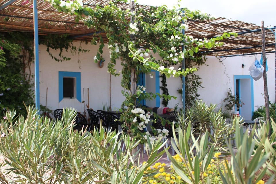 Garden, Garden view